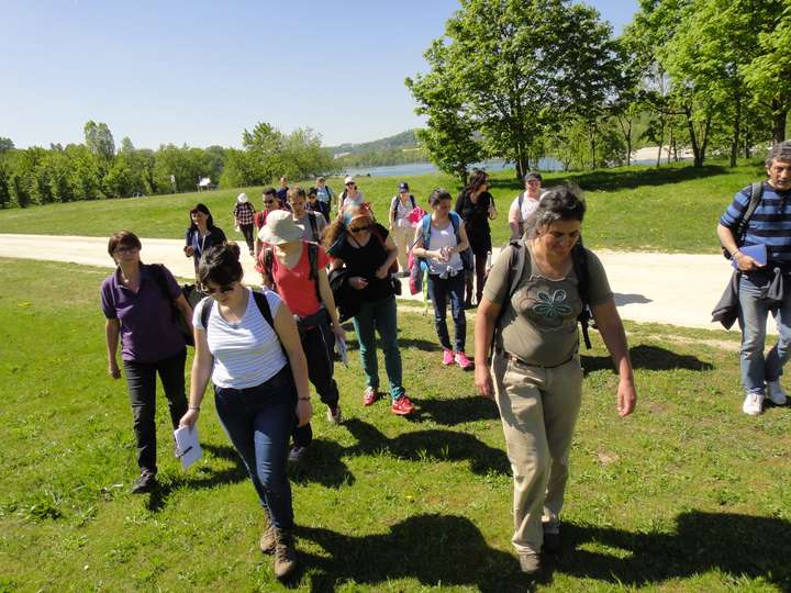 Départ pour la balade